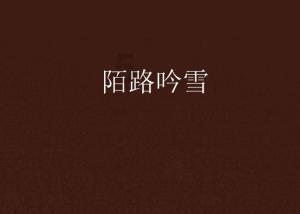 攀登高峰